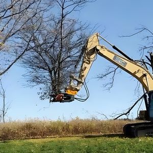 Tree Shear